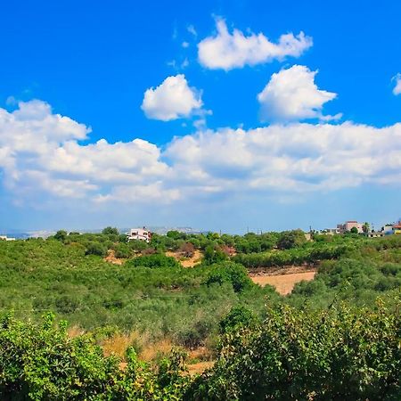 Villa Panagiotis Chania Daratsos Екстер'єр фото